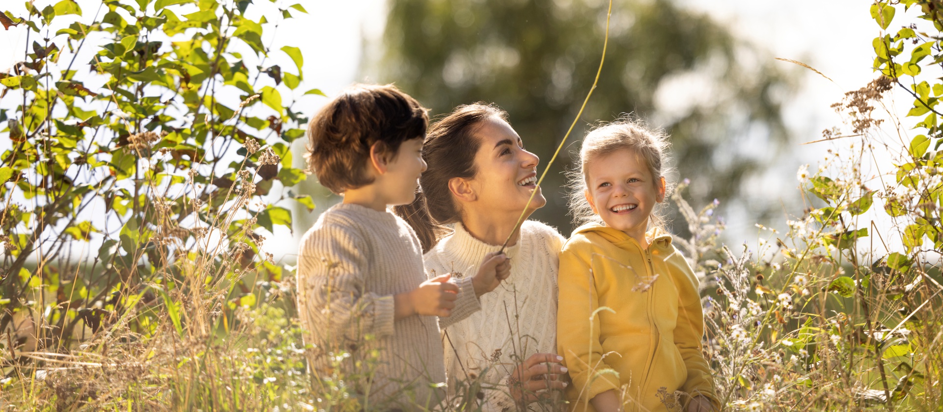 ÖkoFEN Metall & Heiztechnik GmbH